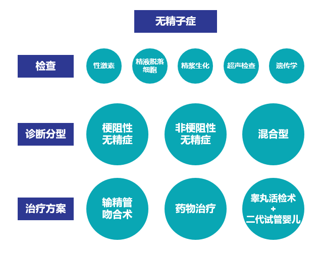 无精症是怎么样造成的,想要孩子怎么办